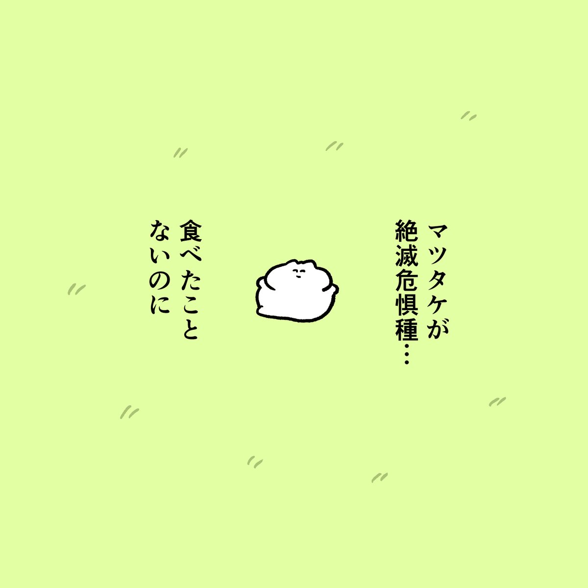 マツタケ 