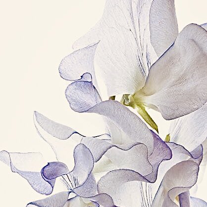 * 🗞 ˙ 𓈒

𝕳i  🍬 𓈒 𝕴’m นาที JAEMIN 2000'𝔰 
🧁˙ 𝓽oday I 𝓰onna do ˓ แลกฟอล ╺ ตามทัก ˒ w/ you guys 🍧 𐬹 . ˙

ยพท . ลฟตท 🍪 𓈒