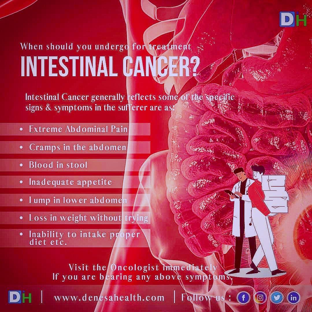 DenesaHealth's tweet photo. When should you undergo for #IntestinalCancerTreatment?
Anyone who bears the following #symptoms must immediately visit the #Oncologist, visit: https://t.co/wNXPf77bjp
.
.
.

#IntestinalCancer
#ColonCancerAwareness #ColonCancer #coloncancersupport
#cancercure #notstomachforcancer https://t.co/0xicp48VpB
