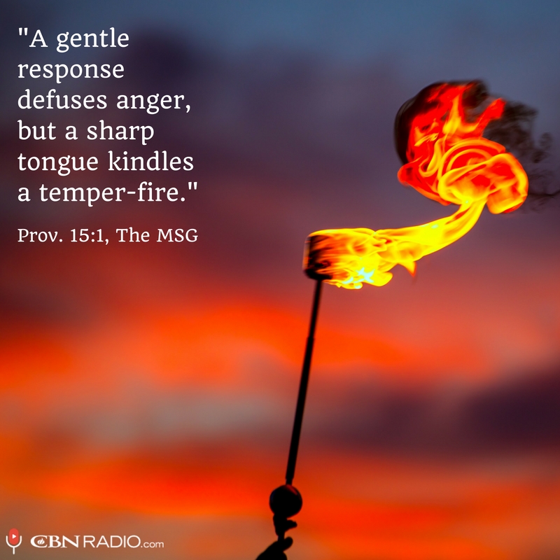 CBN_Radio's tweet photo. Sometimes gentleness is the best response to words of anger! What godly advice do you have for how to deal with conflict? Share it with us! https://t.co/3FyMCuQDAk