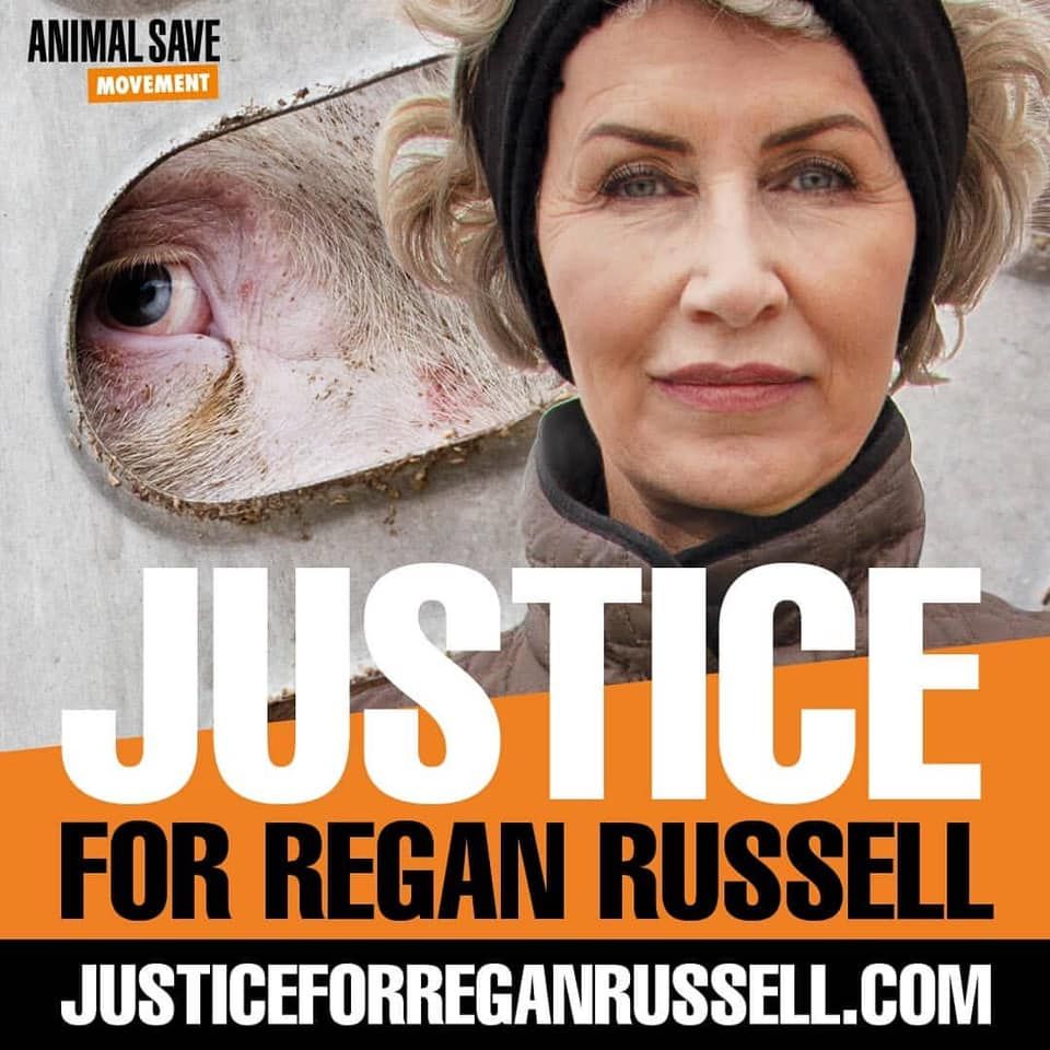 animalsavemvmt's tweet photo. 65-year-old peaceful protester Regan Russell was killed by a transport truck in front of Sofina’s pig slaughterhouse

🔹 Sponsors, supporters,  racing teams and owners of Formula One reject Sofina blood money

#JusticeForReganRussell⁠
#AustrianGP⁠
#Formula1 #F1 https://t.co/4SK1ep2O3Y