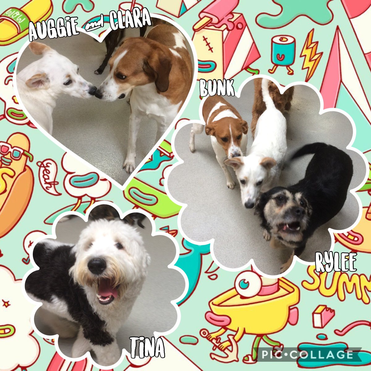 What could be better than a day filled with fun & friends?! @mccoodavis @kathyireland @randallfetcho @SamirAlsaraf @SusanBryenton @LitchfieldFund @AlsarafMaggie8 @Stylejulieanne @timeoutchicago @tailsmagazines @chicagodogs @wisebeautyqueen