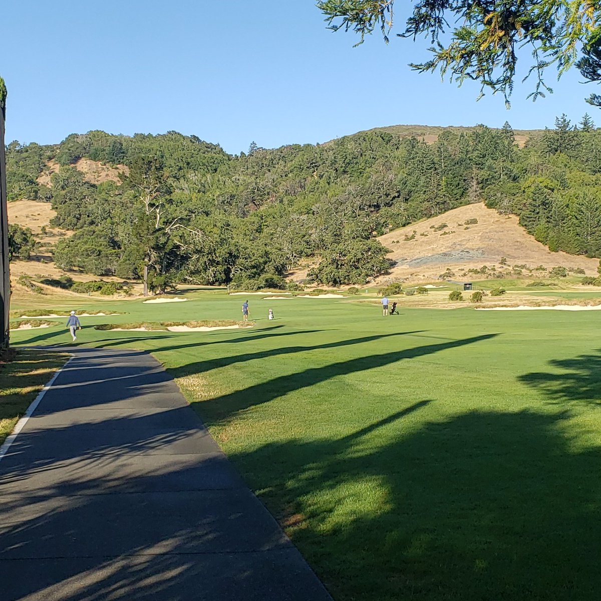 KevinHauschel's tweet photo. Course is shining this morning!! Crew is doing a great job, despite the recent heat spell and crazy ET's!! Would love a break from the wind or the heat, just cant keep having both!! #droughtyear #alwaysimproving #handwatering #summertime #windandheat https://t.co/7RrZ0i614y