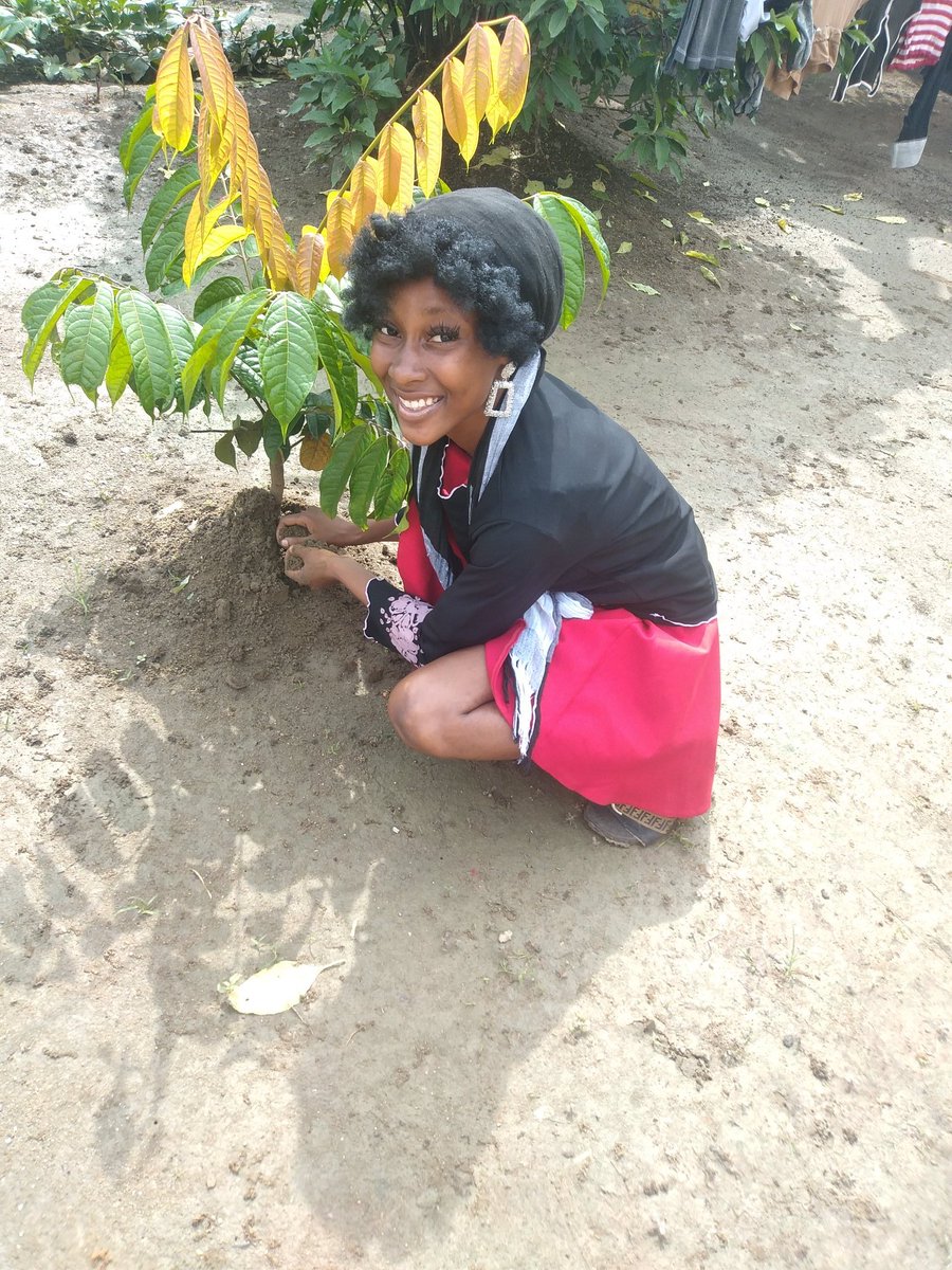 BernardDestiny5's tweet photo. A Tree A week #treeplanting #treeplantingweek #treeplantingseries #futuresavers #AtreeAweek https://t.co/xfVKazCmjS