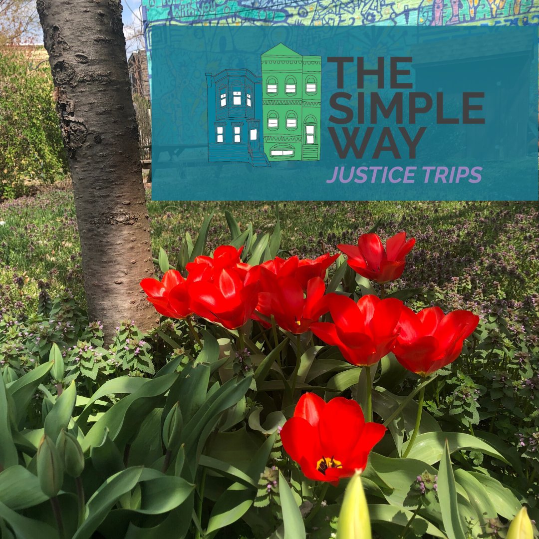 Mission Year tweet media