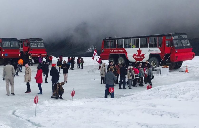 CrossingResrt's tweet photo. As of today, all #attractions described on our website are open, except viewing at Peyto Lake. Mountain Madness Tour dates begin in August.
https://t.co/QulRDcm0PN
Start planning and book your getaway today with one of our specials!
#whatisopen #alberta #banff #jasper #icefields https://t.co/TIkTSK21Si