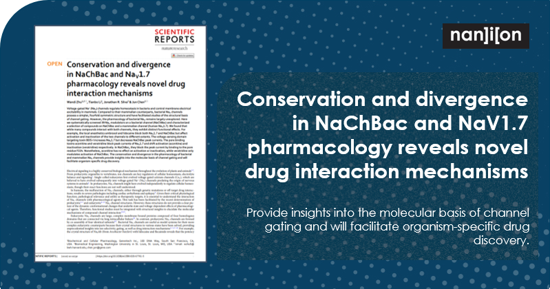 NanionTech's tweet photo. Pharmacology of NaChBac with human NaV1.7 channels reveals that while some drug interaction mechanisms are conserved, others exhibit striking divergence.

Learn More: https://t.co/KqlF9fvAmT

#Sodiumchannels #ionchannels #drugdiscovery #electrophysiology #automatedpatchclamp https://t.co/bfgHnBZWDB