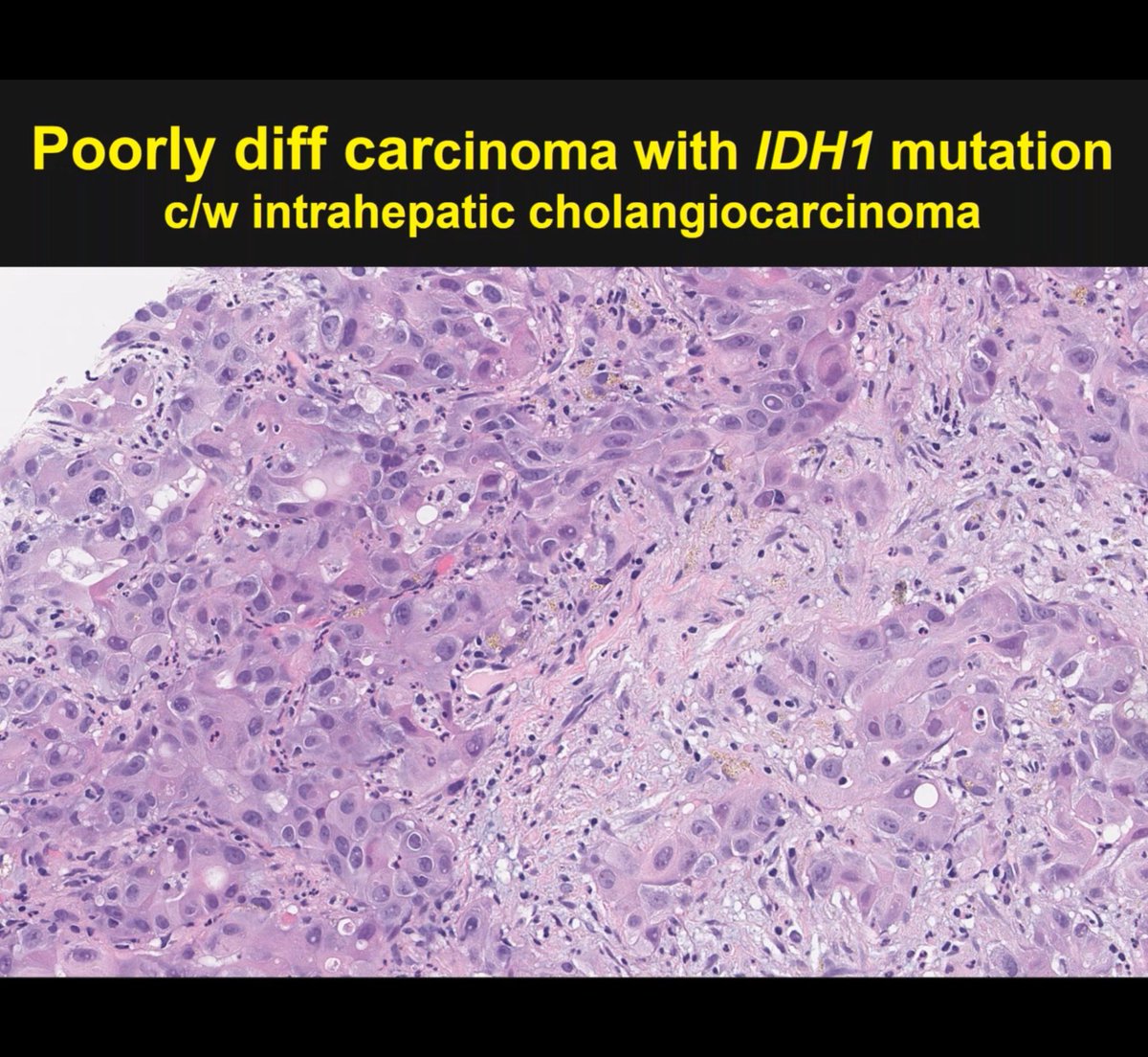 Greta Evaristo, MD tweet media