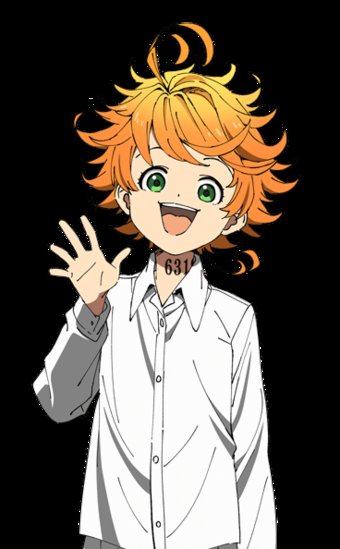 beanistweets's tweet photo. Wait so emma from the promised Neverland was a GIRL- THIS WHOLEEEEE TIME I THOUGHT THAT WAS A GUY https://t.co/sQriEt1VTi