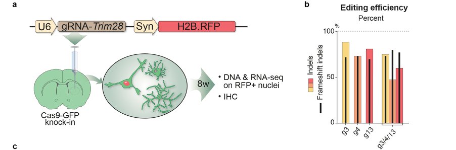 Johan Jakobsson tweet media