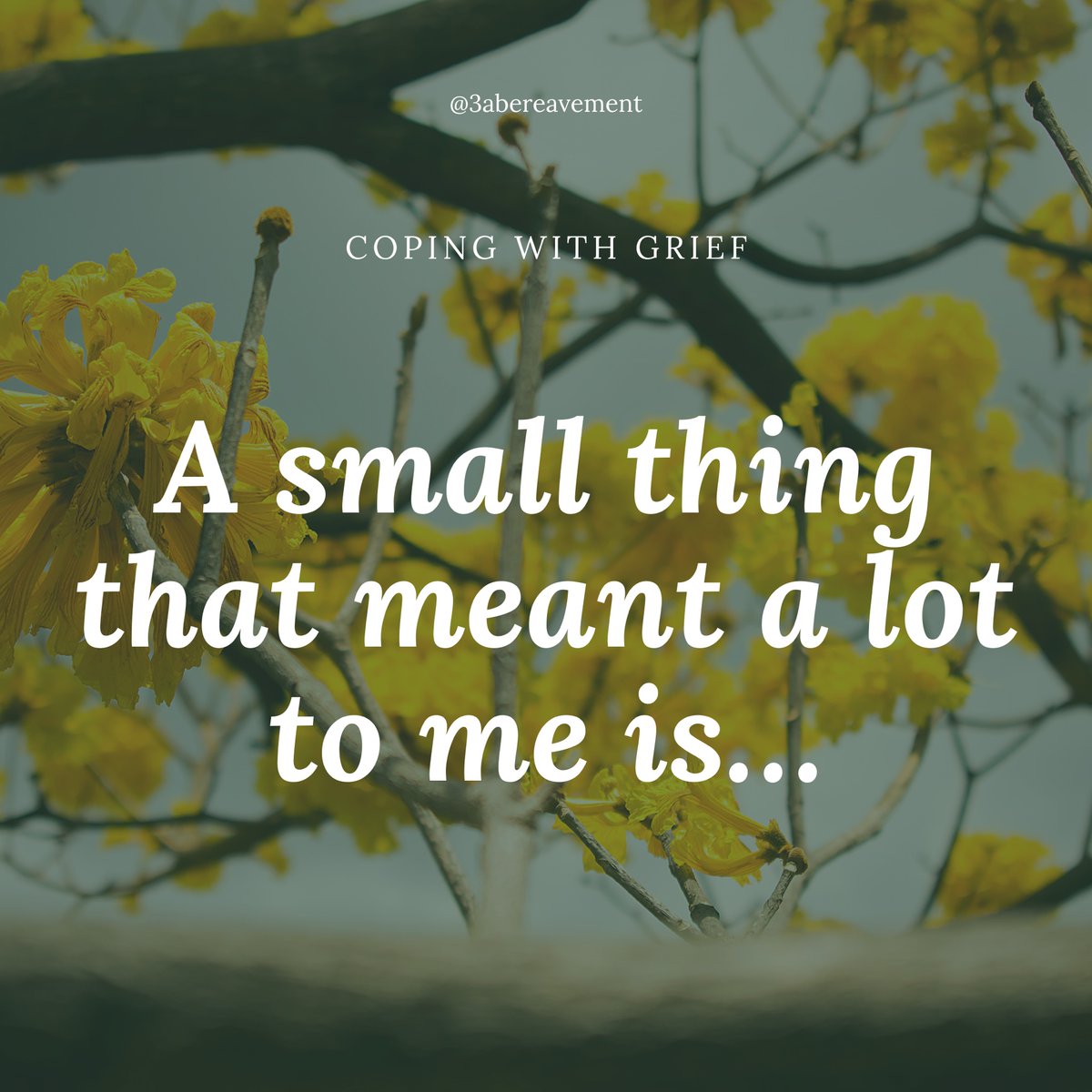 3ABereavement's tweet photo. In hindsight, what is a small thing about your loved one that meant a lot?

#grief #griefjourney #griefandloss #griefsupport #griefquotes #missingyou #foreverinourhearts #gonebutnotforgotten #inlovingmemory #houstonnonprofit #3ABF https://t.co/Lfq3jelMux