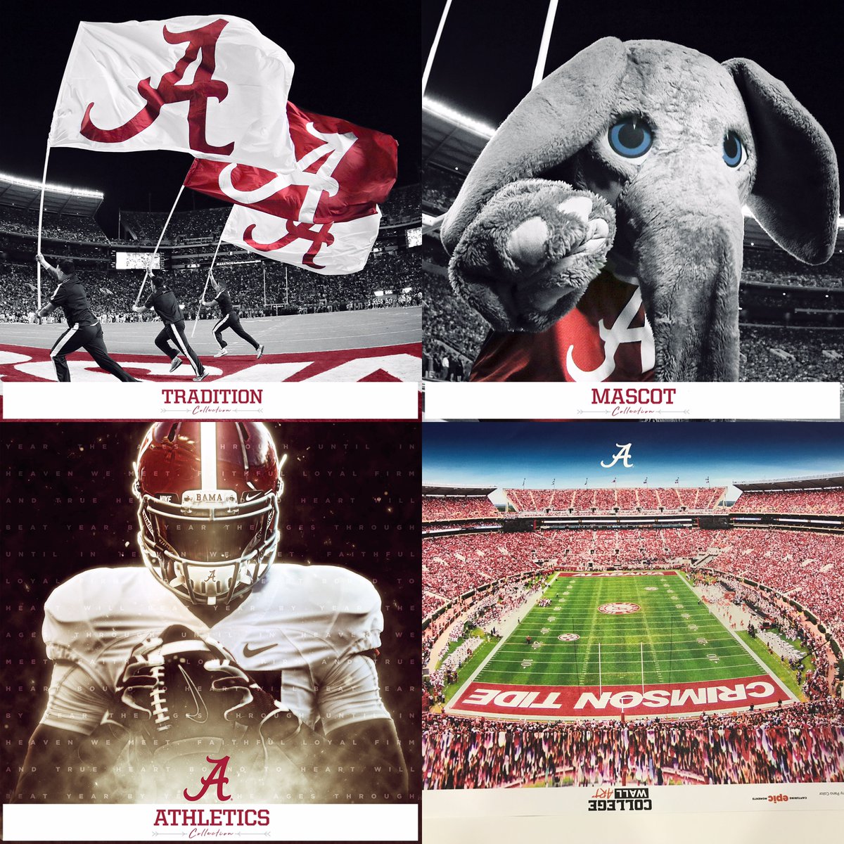 Bama - Roll Tide. Visit our site for more Alabama Products. collegewallart.com