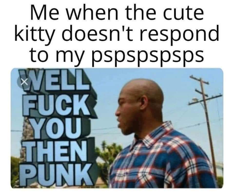 causalityeffect's tweet image. Yup...F@#%you kitty kitty