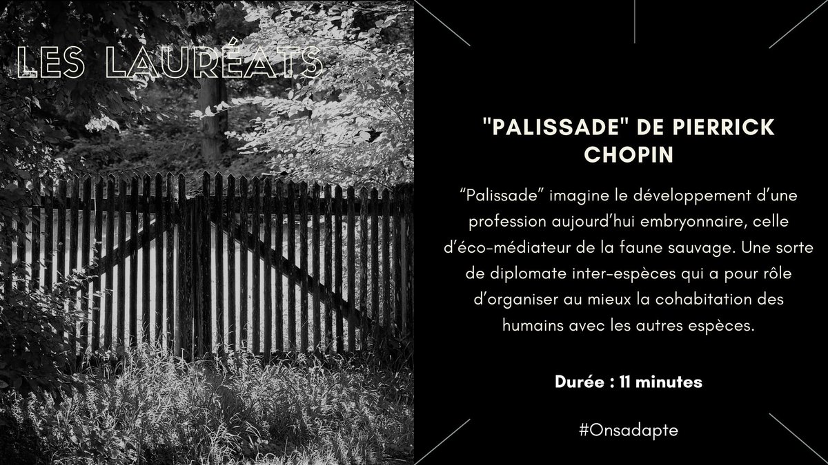 Nos lauréats :

"Palissade"

2040. Jeanne, vit en ermite dans une maison en lisière de forêt. Une nuit, un sanglier dévaste sa clôture et son jardin. Pour le repousser, elle fait feu mais loupe et manque de tuer Chris, un éco-médiateur alors en mission de pistage dans la forêt.