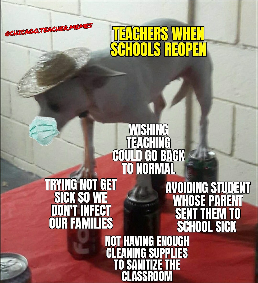 Chicago Teacher Memes This Is How Much Anxiety I Have About Going Back To Work Covid19 Coronavirus Teachinginthetimeofcorona Pandemic Reopening Drmemes Memes Teachermemes Teacherproblems Chicagoteachers Teacherlife Chicago Teacher Memes This Is How Much Anxiety I Have About Going Back To Work Covid19 Coronavirus Teachinginthetimeofcorona Pandemic Reopening Drmemes Memes Teachermemes Teacherproblems Chicagoteachers Teacherlife