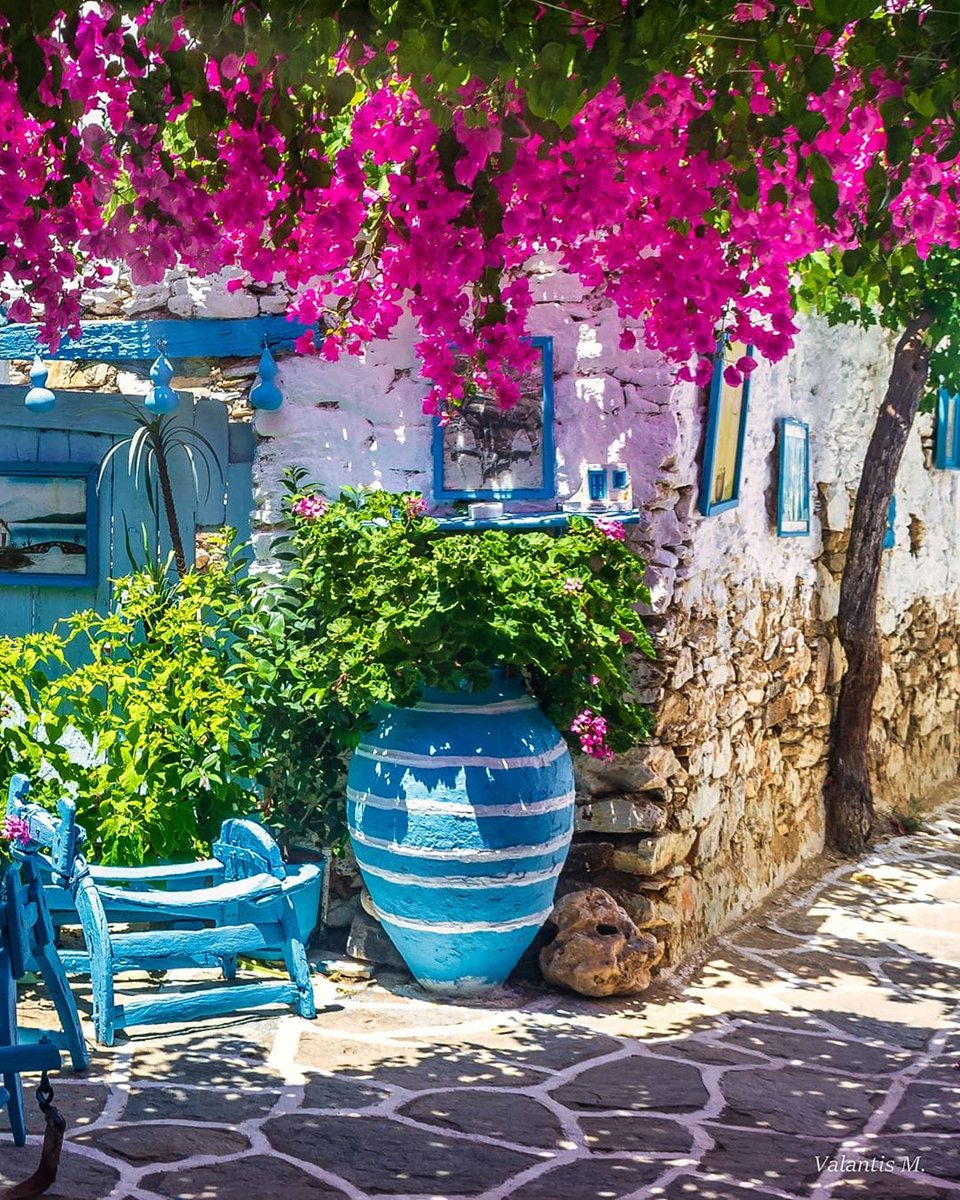 Prodromos #paros #island #bougamvillea !! Available as print or digital copy on valantism.gr #photography #Greece instagram account instagram.com/minogiannisval…