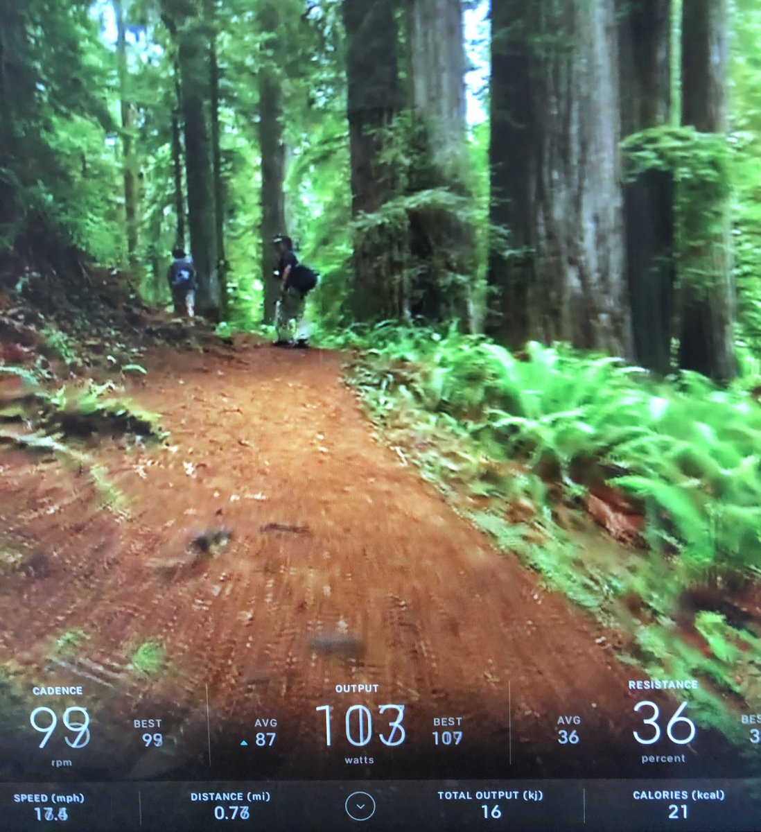 JDisrunner's tweet photo. Biking through the majestic Redwood forest from the middle of the #desert #10K #thursdayvibes @onepeloton #Disrunner #Training https://t.co/qOIshNud8r
