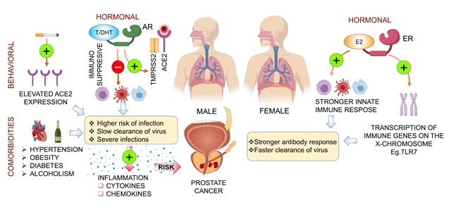 Communications Biology tweet media