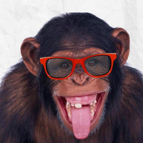 Henrique ¹ tweet media