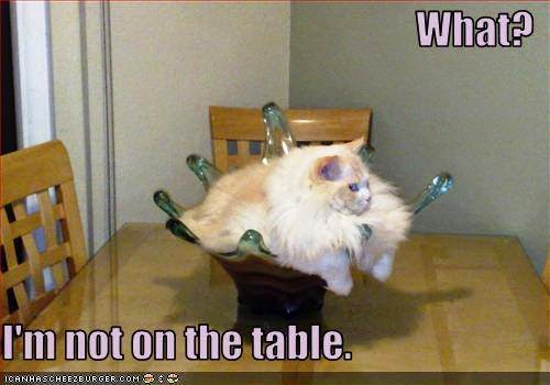 Cherelynn's tweet image. Today on #MakeupUniversity blog - some July faves you may enjoy too! 
bit.ly/31YcJuN

#bbloggersRT