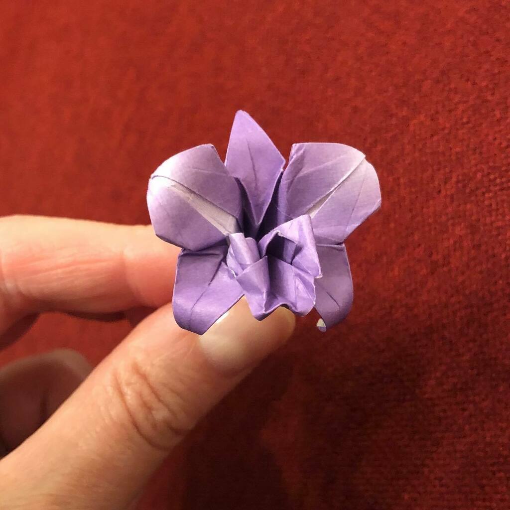 origamitraces's tweet photo. Lalalalala 🎶🎵, and and another Orchid for Susie by Michale LaFosse. This time from 7,5 cm. It almost looks like a live size violet.
#origamitraces #origami #orchidforsusie #michaellafosse #origamiusa #UnConvention #harmonypaper https://t.co/su5BVWcS3L https://t.co/JtXsQtwUqK