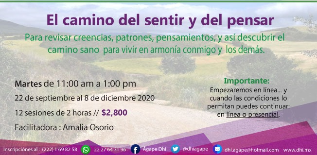 dhiagape's tweet photo. Los invitamos a participar en nuestros talleres para adultos del periodo Septiembre-Diciembre 2020. Todos los talleres iniciarán de manera online, cuando las condiciones lo permitan se podrán retomar de manera presencial o continuar en linea hasta finalizar. https://t.co/DEFTpVjb1l