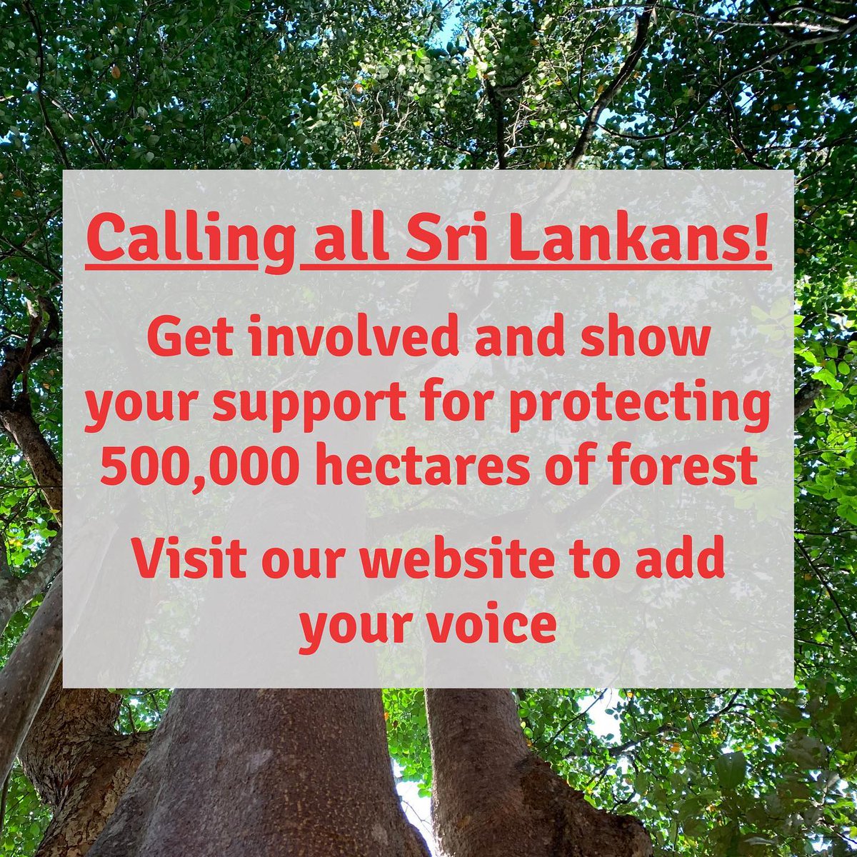 TrustYourTiming's tweet photo. INFORM THE PRESIDENT! 

Please visit below website, copy the text in your preferred language and send it to @GotabayaR at 

ps@presidentsoffice.lk 

CC: 

sec@env.gov.lk

 https://t.co/XJbOxtAKbm https://t.co/SXpanJZNOc