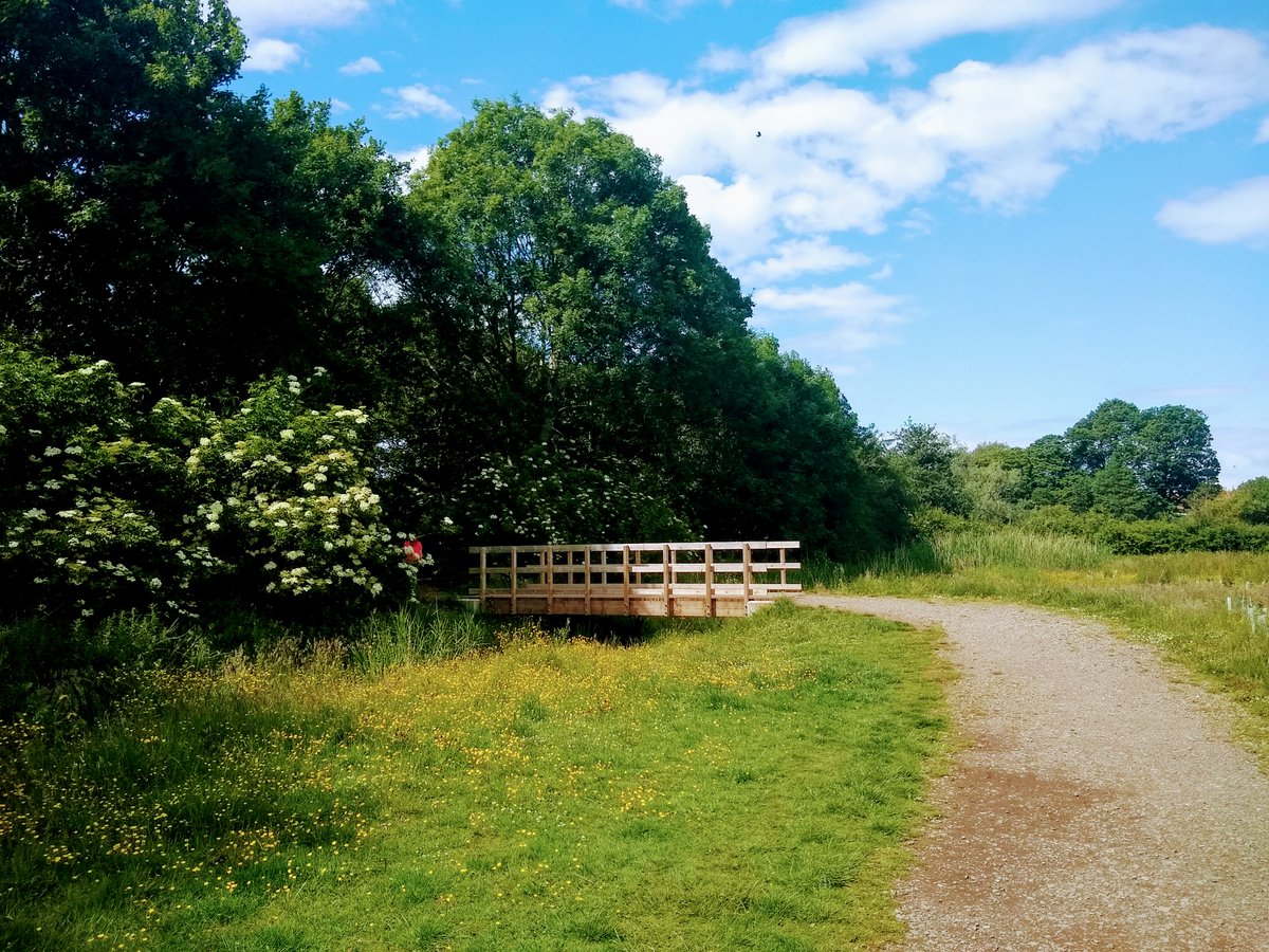 Go Wild at Upperby Park & Hammond’s Pond tweet media