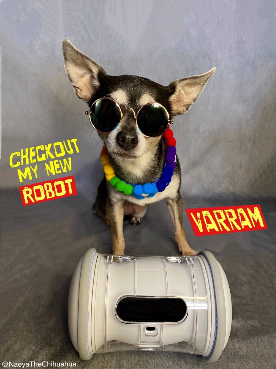 Rustylinda's tweet photo. Checkout my cool robot from @varramus ! It’s so cool, mommy can either manually control it or she can schedule it , all on her cellphone! #varram https://t.co/gOmkbWCSXB