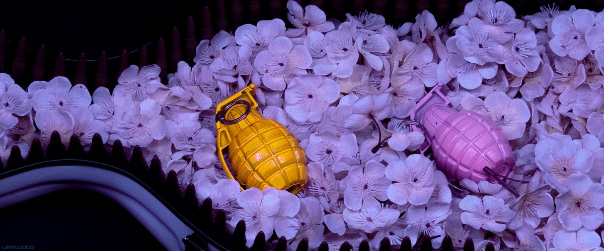 Photography by Liam Wong of Seoul at night. Plastic replica grenades inside a guitar case lined with flowers.
