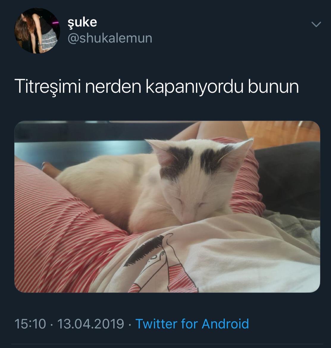 aestheticXlady's tweet photo. Shsusauajaajıasjsjdjd https://t.co/tAsQELVvUB