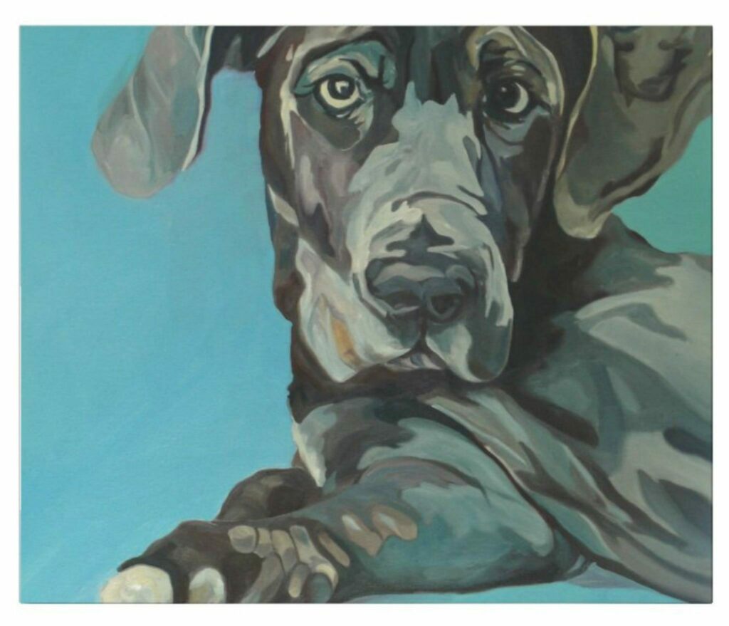 diedra_camp's tweet photo. Silver Paws is having their Official Ribbon Cutting today! Come and go 12-4 p.m., and 5-6 p.m. This event is a great opportunity to sign up for my Fur Baby Portrait Fundraiser, you can also sign up on my website: https://t.co/o5MaS0ejmZ
@silverpawsthera… https://t.co/GvCk3ornDE https://t.co/OI8XaGs7iA