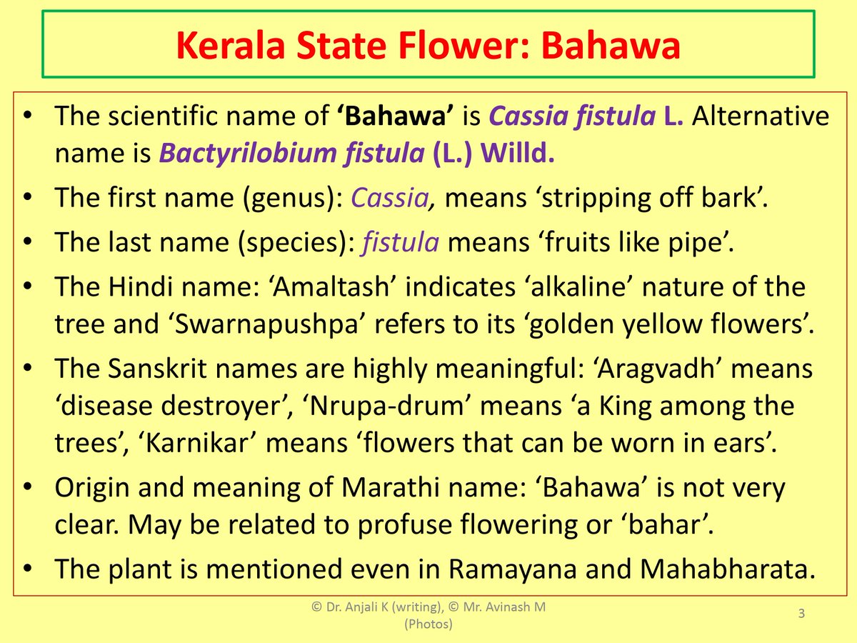 AnjaliPlants's tweet photo. Do read #Bahawa #Amaltash #Cassiafistula https://t.co/J0CLtMgn4N