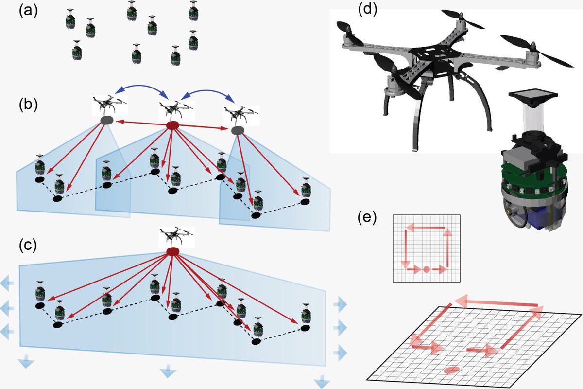 Our #MNS paper:

“Multi-robot Coverage using Self-organized Networks for Central Coordination”

just got accepted at @ants_conf 

with Aryo Jamshidpey, Weixu Zhu, Michael Allwright, @mktheinrich, and @MarcoDorigo_ULB 

@IRIDIA_ULB