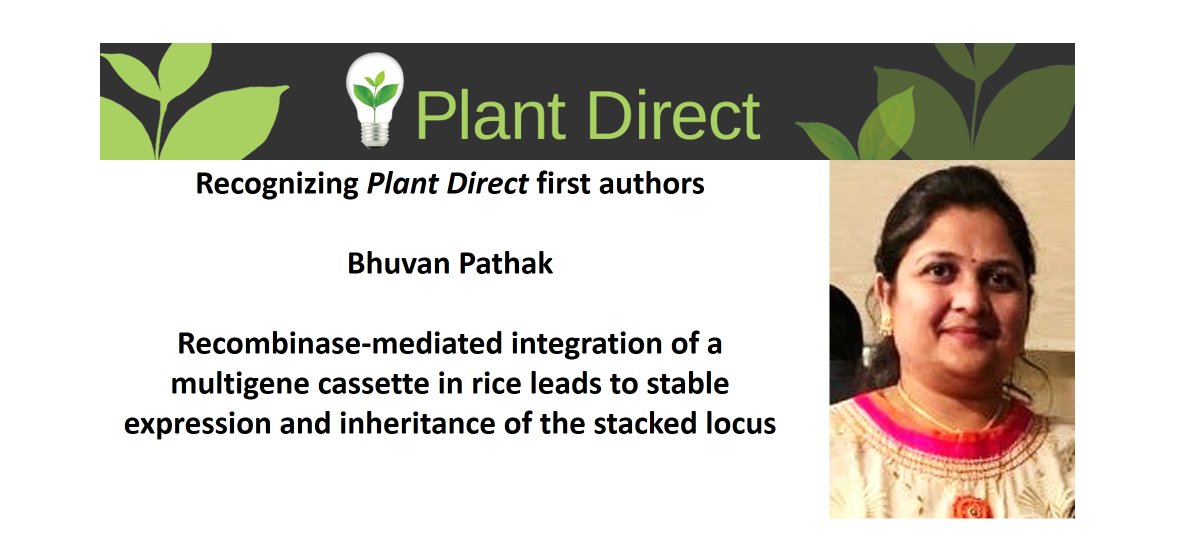 PlantDirectJ's tweet photo. Recognizing Plant Direct author Bhuvan Pathak https://t.co/WEJaS07lIr, first author of Recombinase‐mediated integration of a multigene cassette in rice leads to stable expression and inheritance of the stacked locus https://t.co/P88GX7v2kb @bhuvan811 @wileyplantsci #genestacking https://t.co/bok7IjjJRS