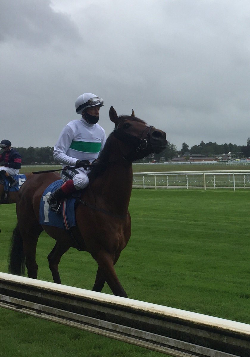 Hannah Knox tweet media