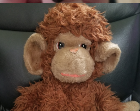 NormNewmal's tweet photo. Monkey Doodle is based on a stuffed animal Kevin received from his great grandfather. Instead of sketching out the idea for "Zoo Meeting", Kevin took a bunch of photos. Christine sketched him in a test and they both agree, he's one charismatic primate!
#monkeydoodle #normnewmal https://t.co/NRKuxlOecI