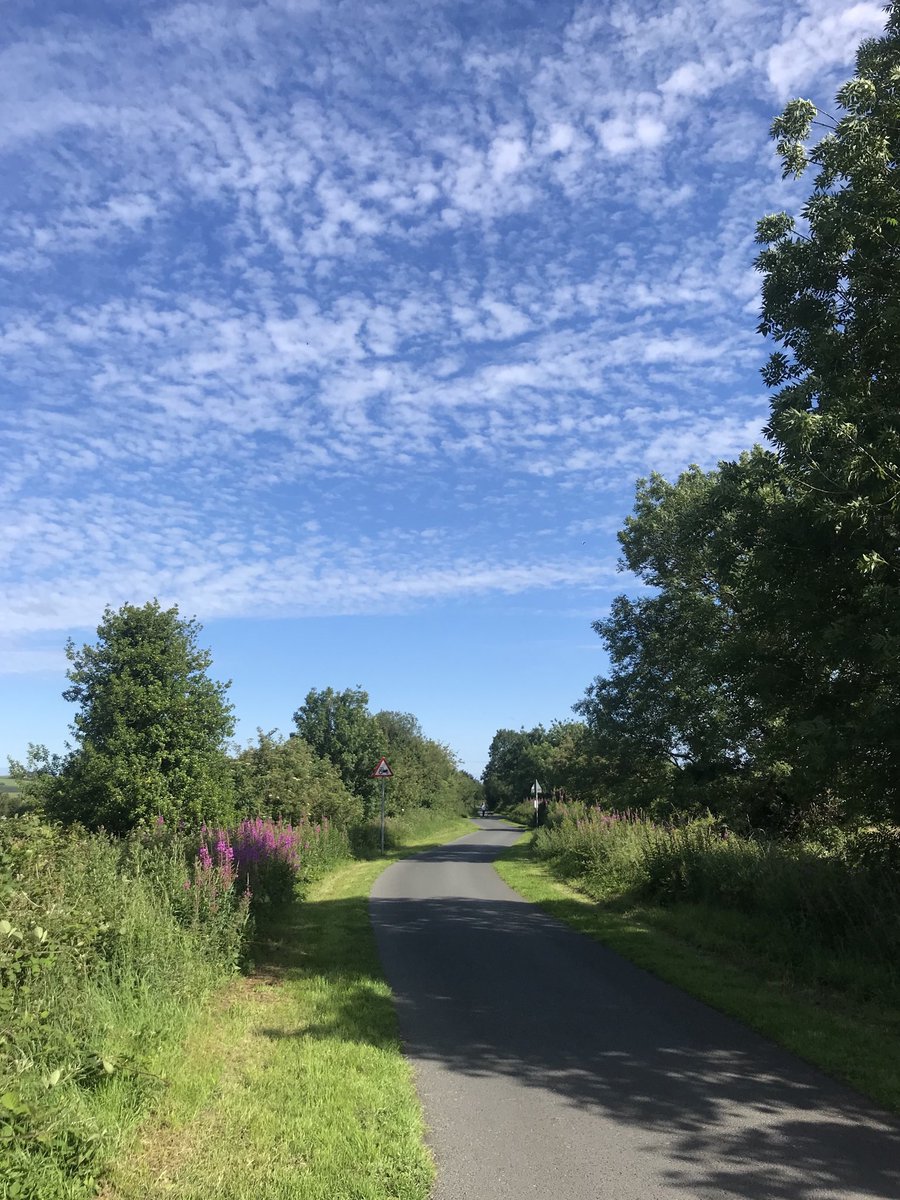 taramillstv's tweet photo. Not hard to do #20minsaday today 🙏☀️⁦@LynetteFay⁩ https://t.co/IpelfvmqKQ