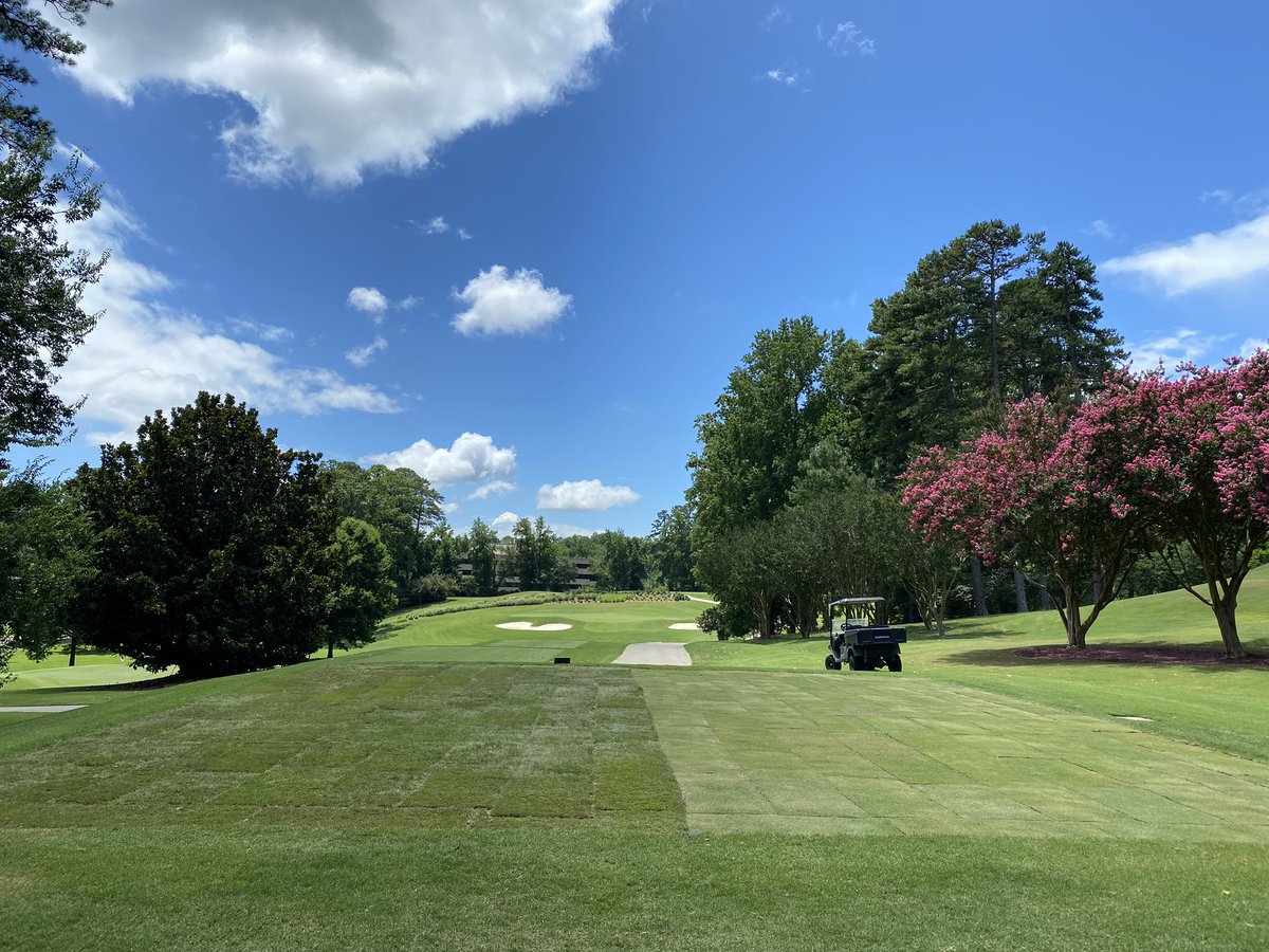 Carolina CC Agronomy tweet media