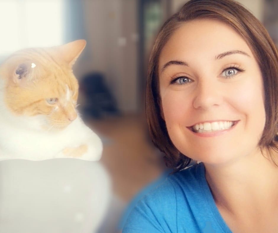 emmacruises's tweet image. I JUST BOOKED A CRUISE!!!!! 🎈🎉🎂

Hudson is less than impressed and is very bored of me telling him about it but... ITS SO EXCITING!! 😍♥️

I am booked onboard the Anthem of the Seas for May 2021, heading back to the Norwegian Fjords!! 🥰🌟