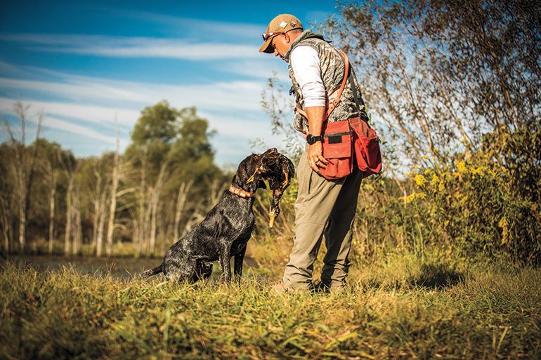 GunDogMag's tweet photo. Adhere to these 4 principles to create a well-rounded, versatile hunting dog: https://t.co/fgFkDE9LNZ #gundogmagazine https://t.co/PyuuFxgp8P