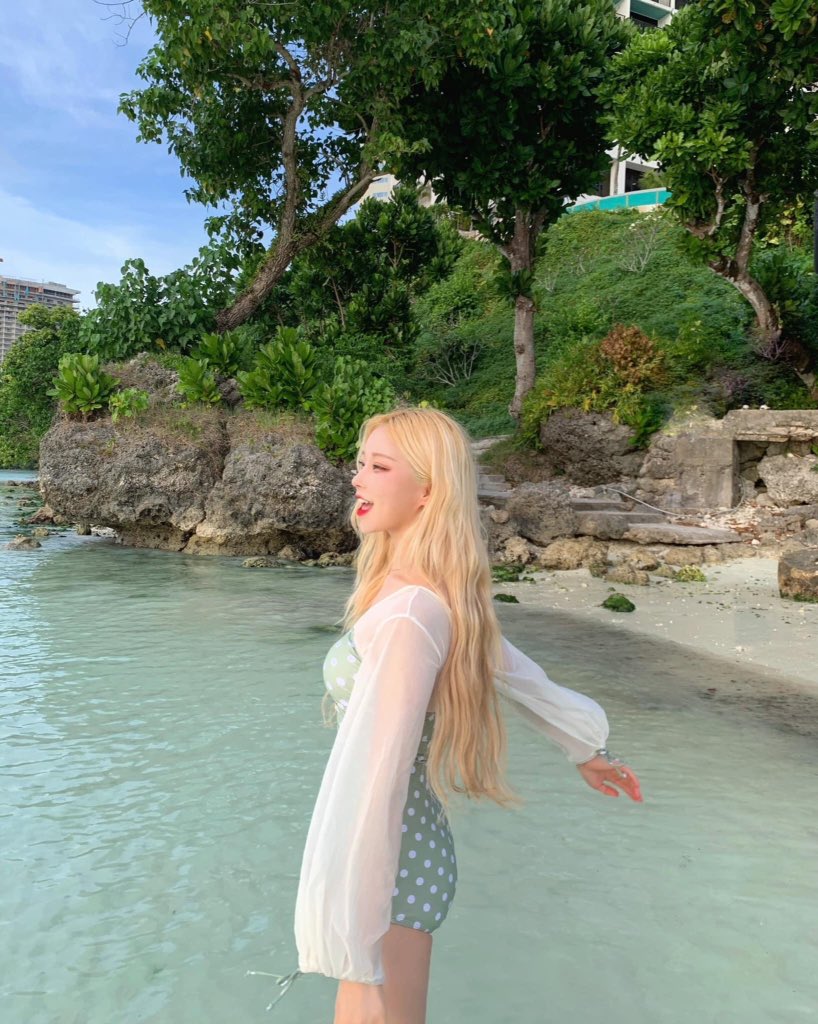 gini_s2_'s tweet photo. 🌊🐬🐾🐟🐬🐳 https://t.co/B2gBBpfZbF