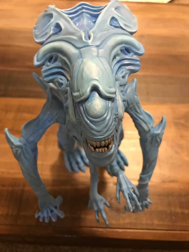 MccloudWalter's tweet photo. Amazing custom paint work from Joe Foster's daughter.
Excellent work!
#Lanard
#actionfigures
#gijoecommunity
#gijoe
#walmart
#yojoe
#AlienDay
#xenomorph
#TheCorpsMultiverse
#StayHomeAndPlayHard
#StopBuyingOutdatedSoldiers https://t.co/ZgSMt9B85v