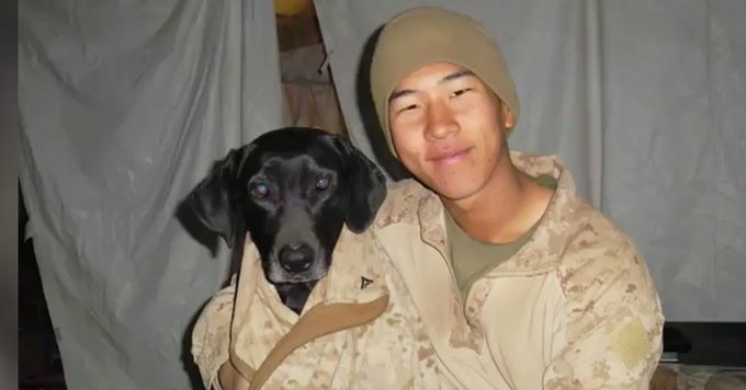 bigbarkerusa's tweet image. Marine Veteran Finally Reunites With Dog Who Saved His Life In Afghanistan 😊💚 bit.ly/2NHMX5s