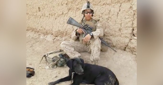 bigbarkerusa's tweet image. Marine Veteran Finally Reunites With Dog Who Saved His Life In Afghanistan 😊💚 bit.ly/2NHMX5s