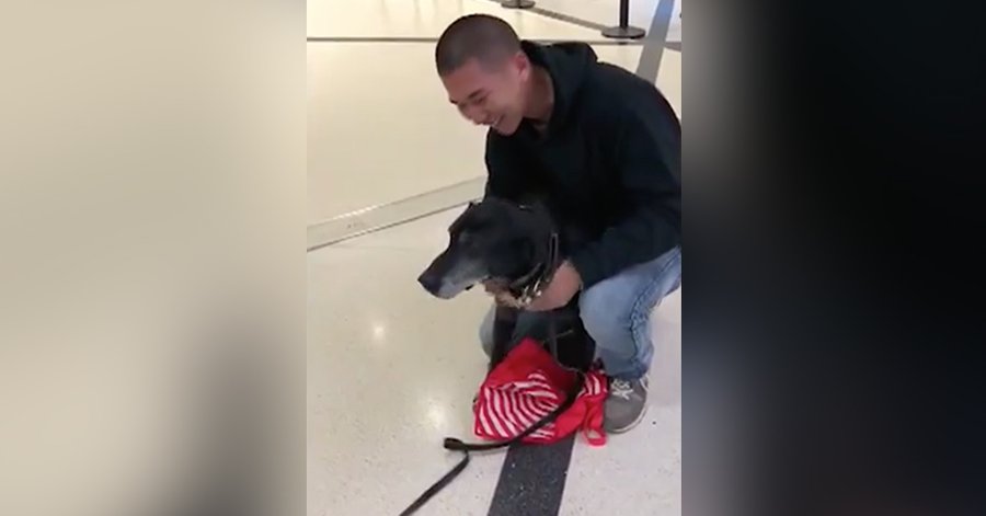 bigbarkerusa's tweet image. Marine Veteran Finally Reunites With Dog Who Saved His Life In Afghanistan 😊💚 bit.ly/2NHMX5s