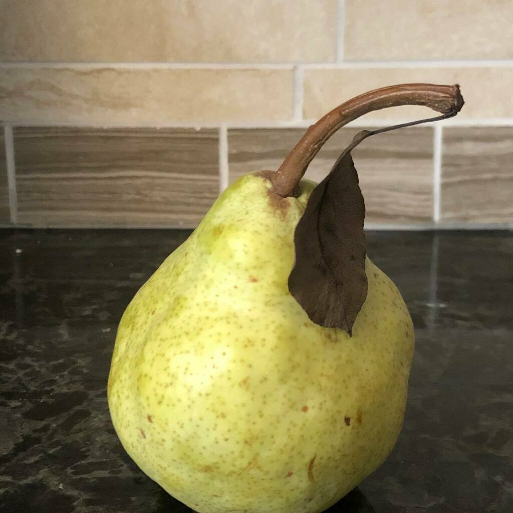 Still Life of a Pear!  #leaf #stilllife #instapear #leafs #reflections #fruit #stonefruit #stonefruitseason #pear #pearlover #yellow instagr.am/p/CCbiM4sp6U7/