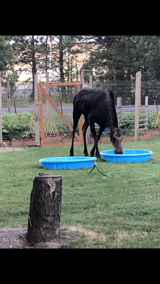 Parents had a visitor today!