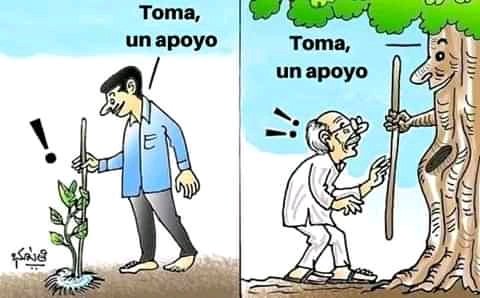 ingridben2's tweet photo. Lo más bello!!! https://t.co/CbJVZls4By