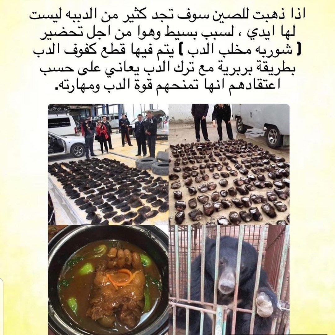 Shms5552's tweet photo. وبعدين يعني 😤 اتوقع لو الجن ينمسكون لهم كان اكلوهم 😡
#غطا_الوجه_واجب_شرعي https://t.co/bzRVmw6eBI